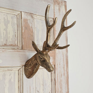 Deer Head Wall Mount with Antlers