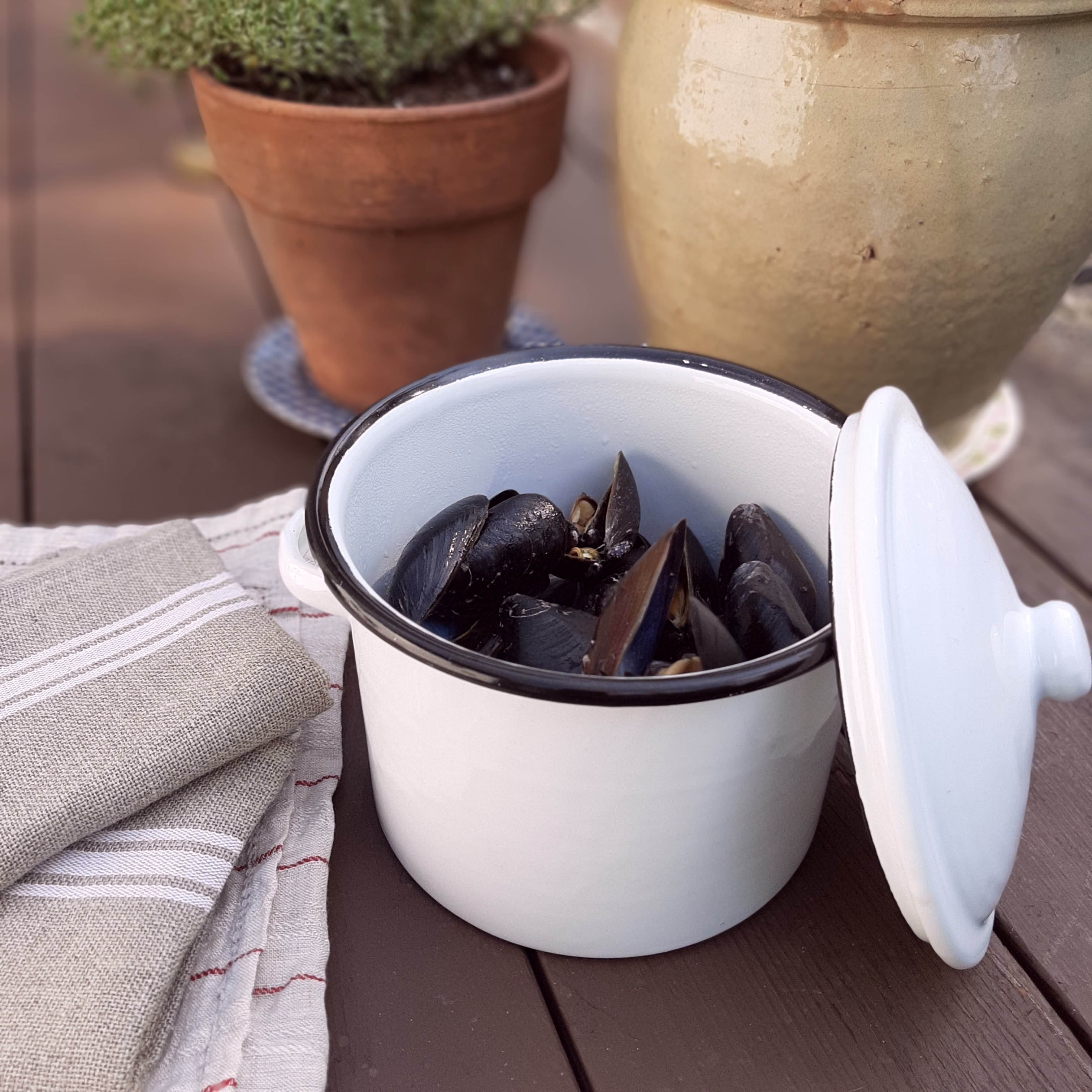 White Enamel Stock Pot with Black Rim