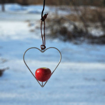 Heart Apple Bird Feeder