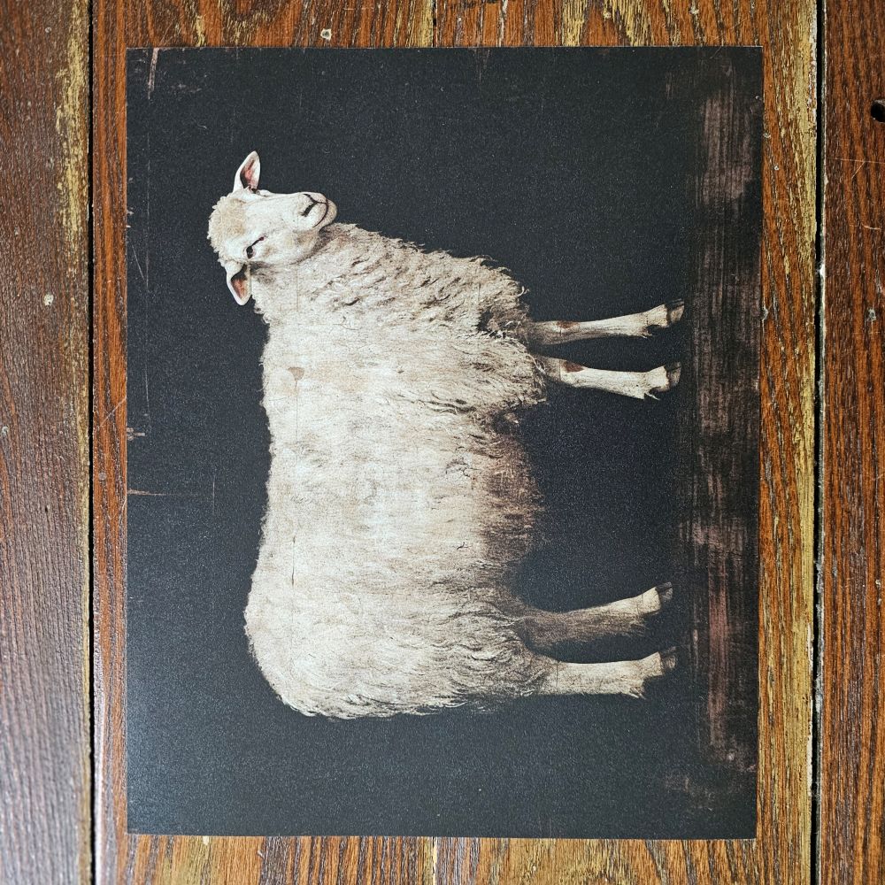 Sheep Art Print with Dark Background
