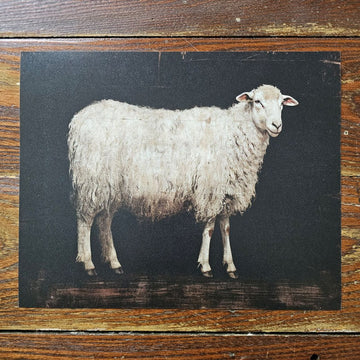 Sheep Art Print with Dark Background